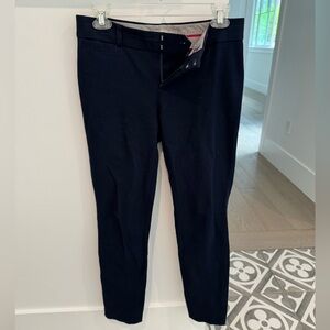 Banana Republic Navy Sloan Pants
